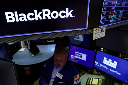 BlackRock pauses corporate meetings in wake of new ESG rules